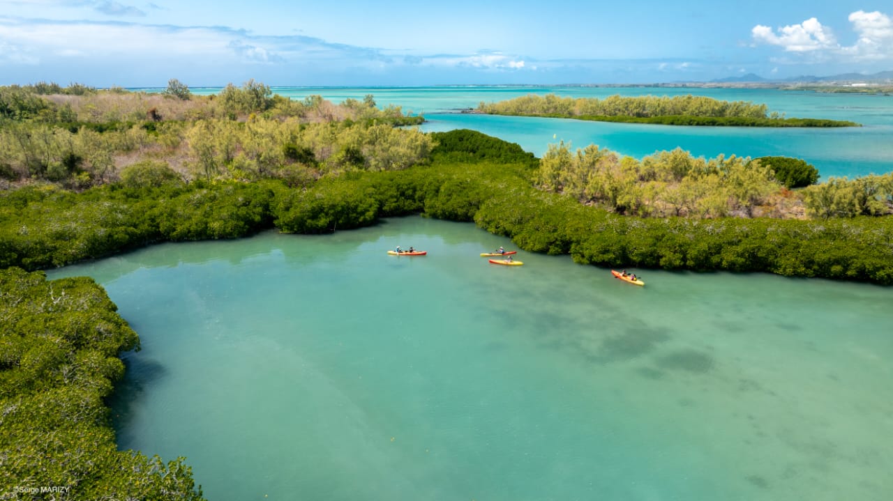 Kayakers paddling through the mangroves around Île d'Ambre, Mauritius